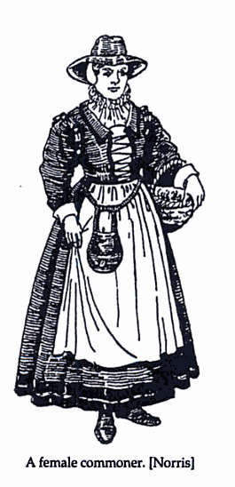 Image from Daily Life in Elizabethan England